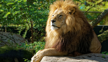 Tierpark Hellabrunn